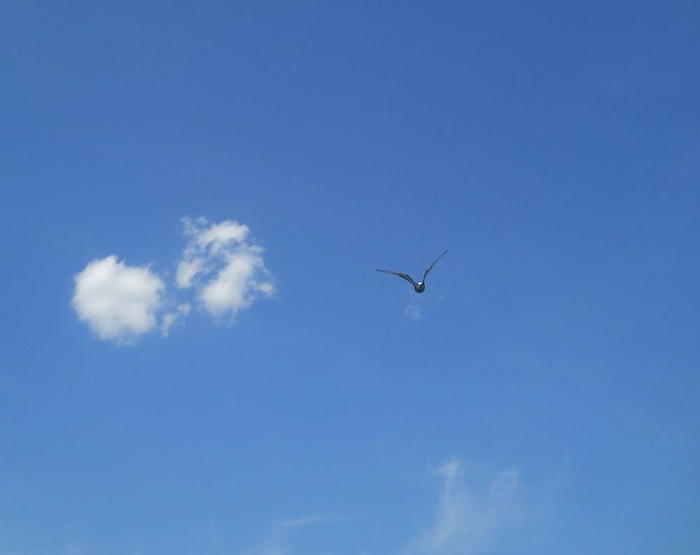 Photograph by Irina Dali