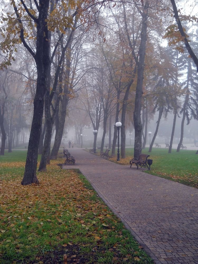 Photograph by Irina Dali