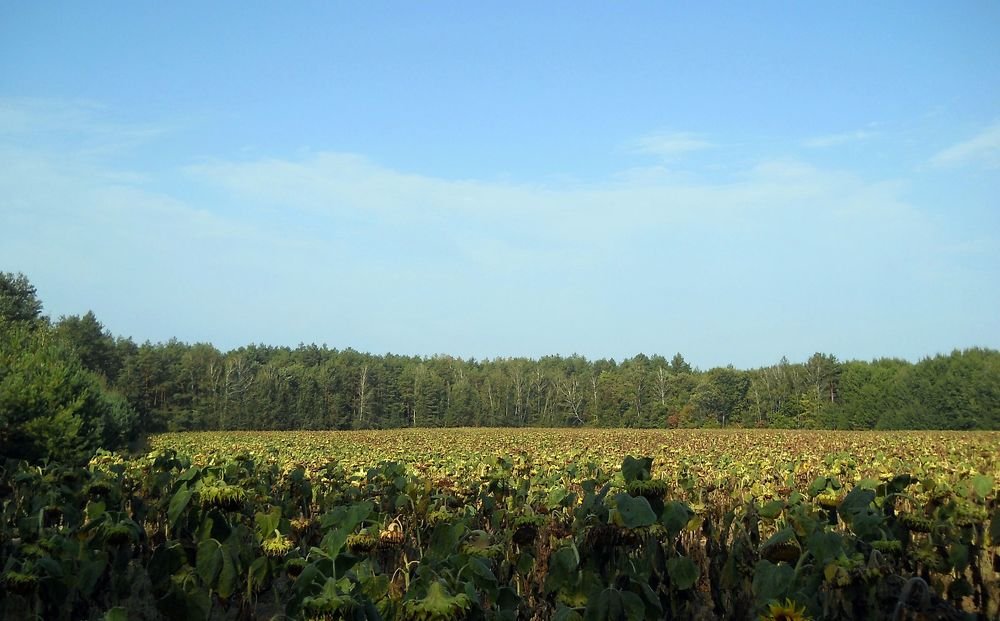 Photograph by Irina Dali