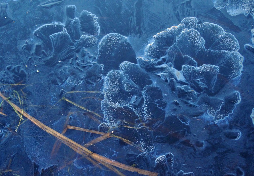 Мороз - художник