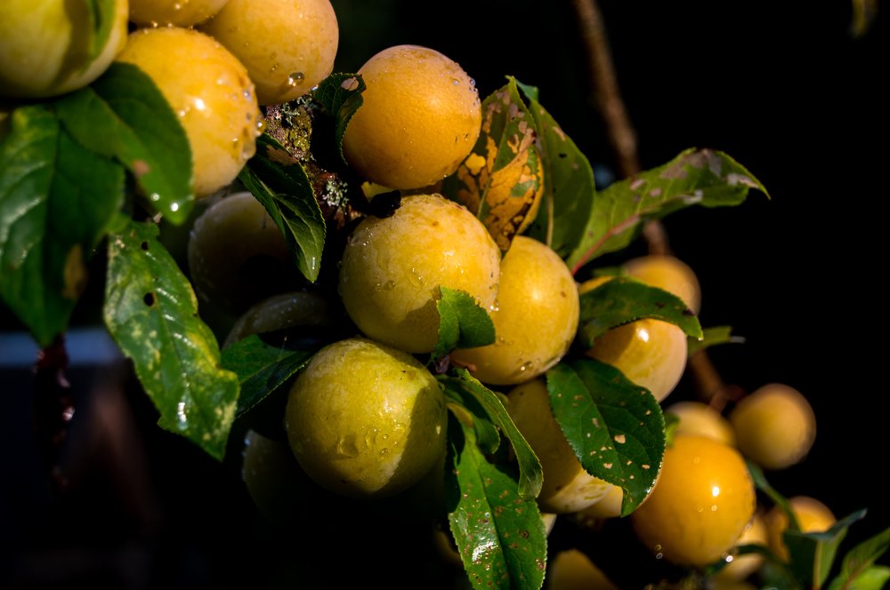 Photograph by Кирилл