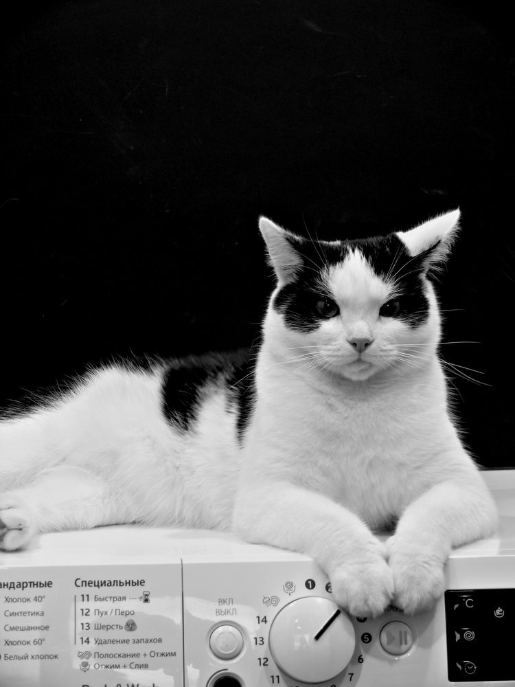 Photograph by Юрий Филицкий