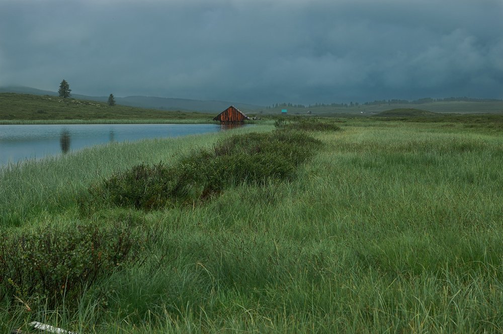 Photograph by Ирина Секачева