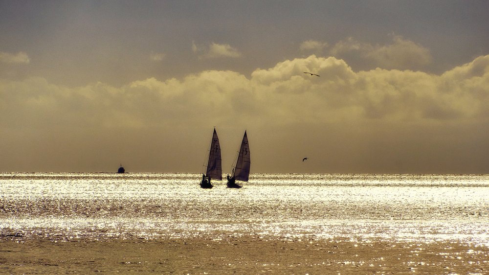 Photograph by Валерий Гончаров