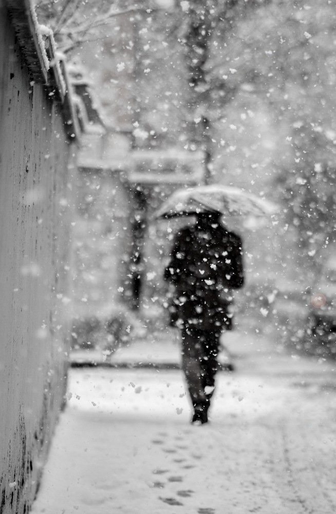 Photograph by DAMOUN POURNEMATI