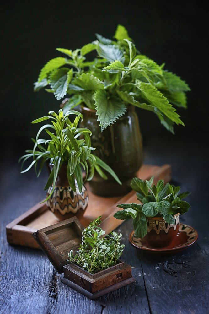 Фотография автора Евгения Грин