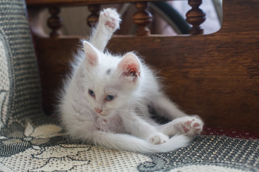 Photograph by Руслан Булгаков