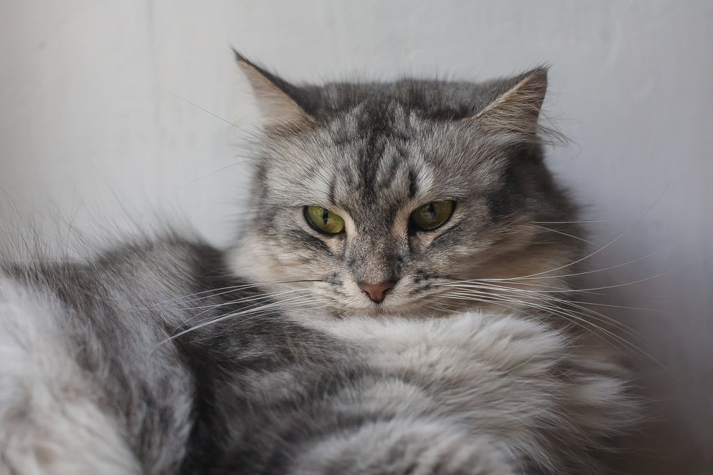 Photograph by Руслан Булгаков