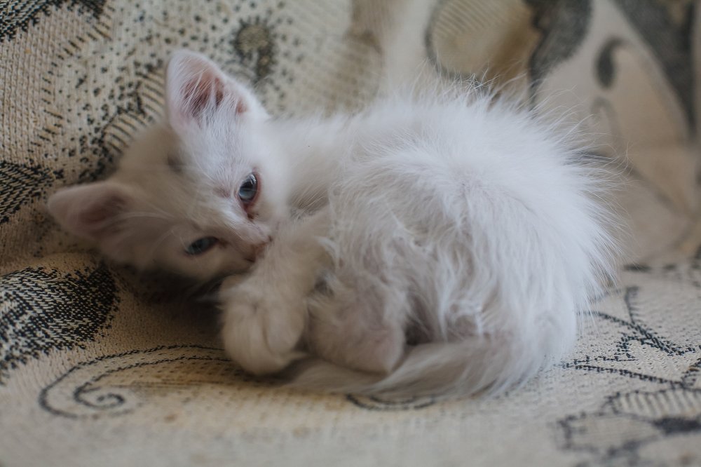 Photograph by Руслан Булгаков