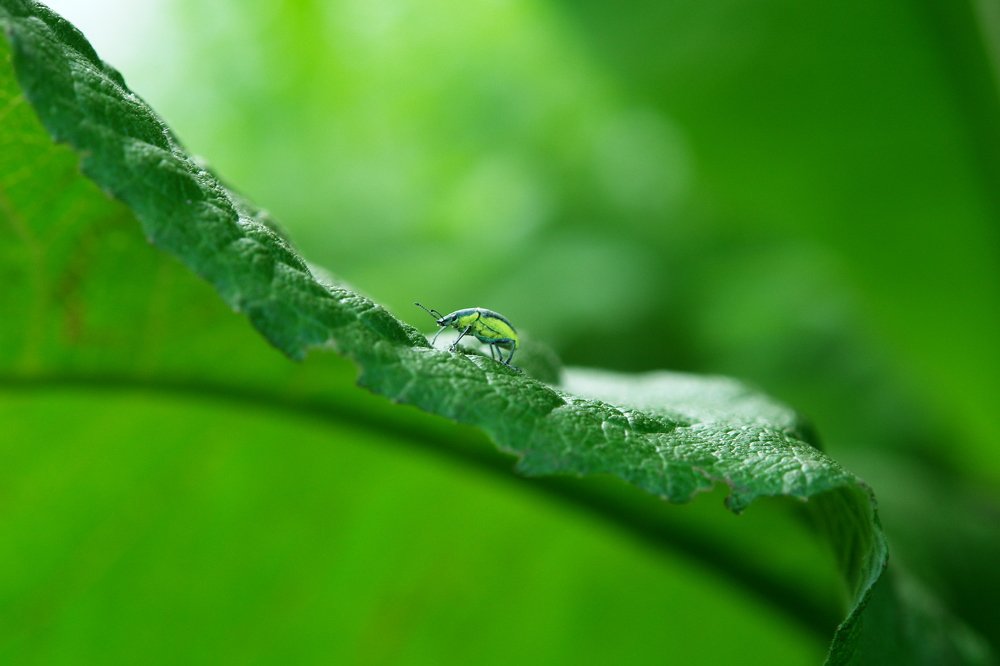 Photograph by Сергей Фомченков