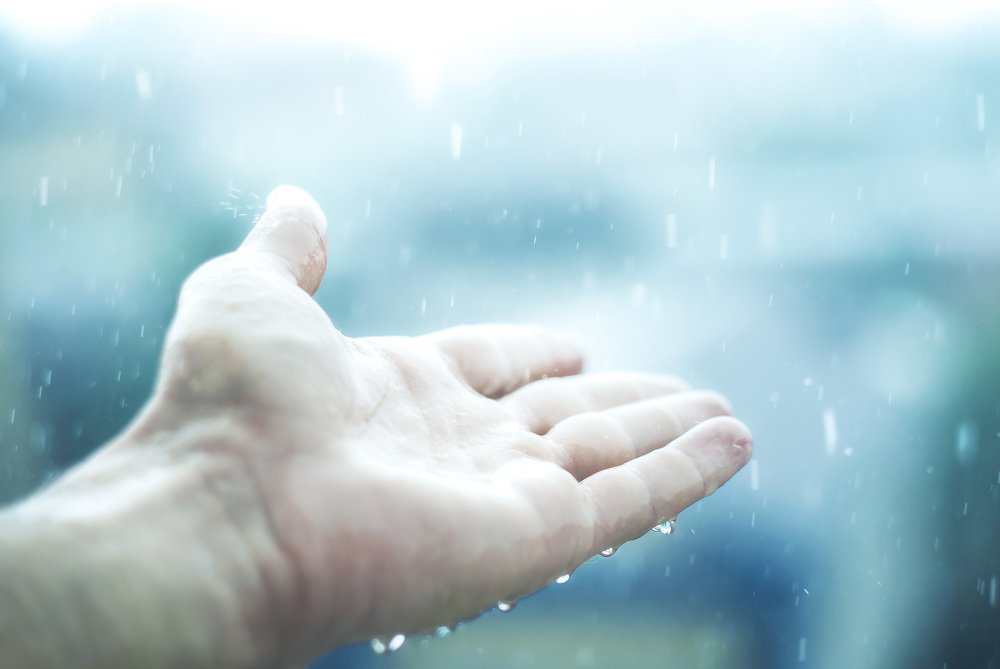 Photograph by Алёна Маркарян