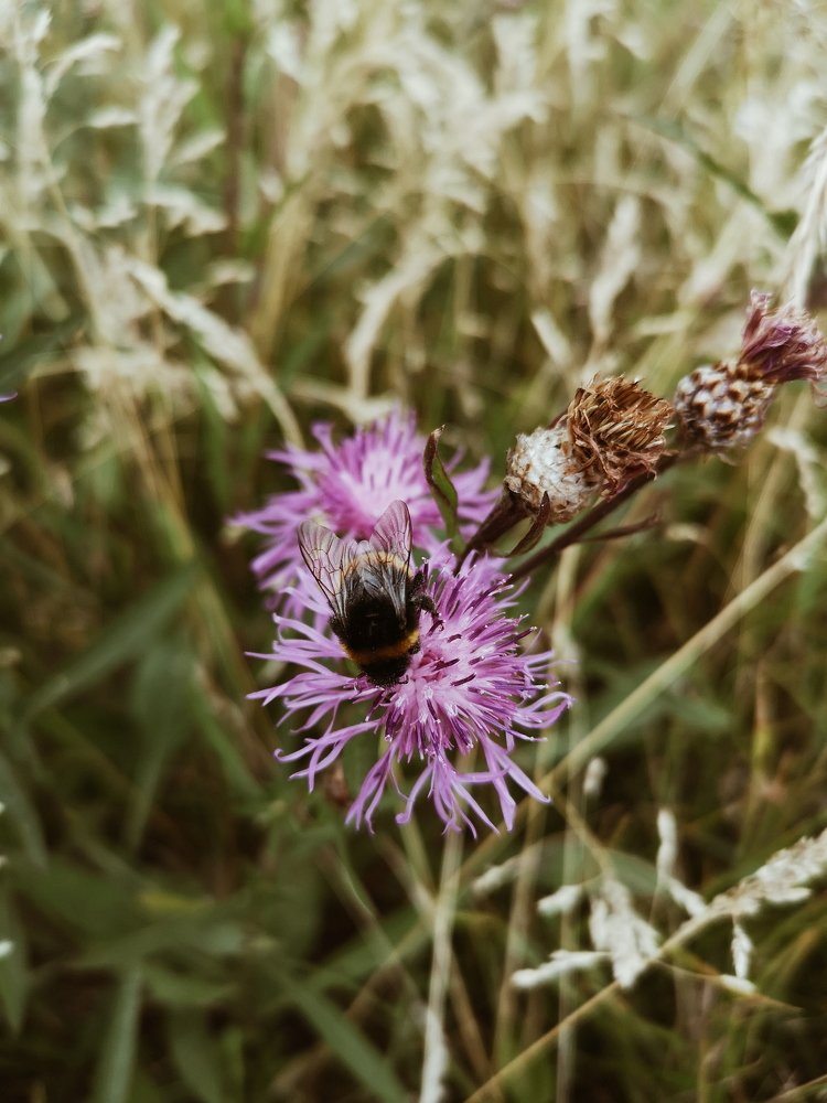 Photograph by Даша Ревинна