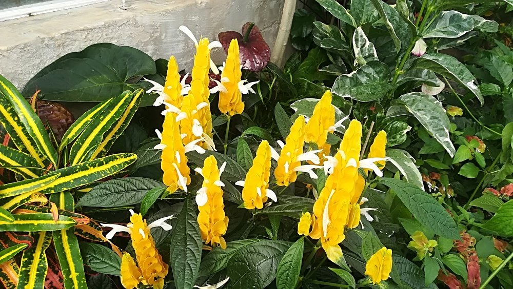 Photograph by Gemelina Opriș