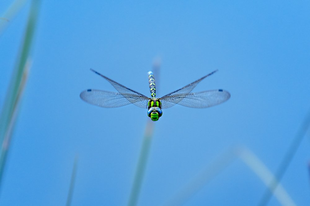 Photograph by Katerina Kutova