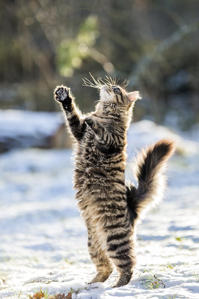 Photograph by Terēze Štube