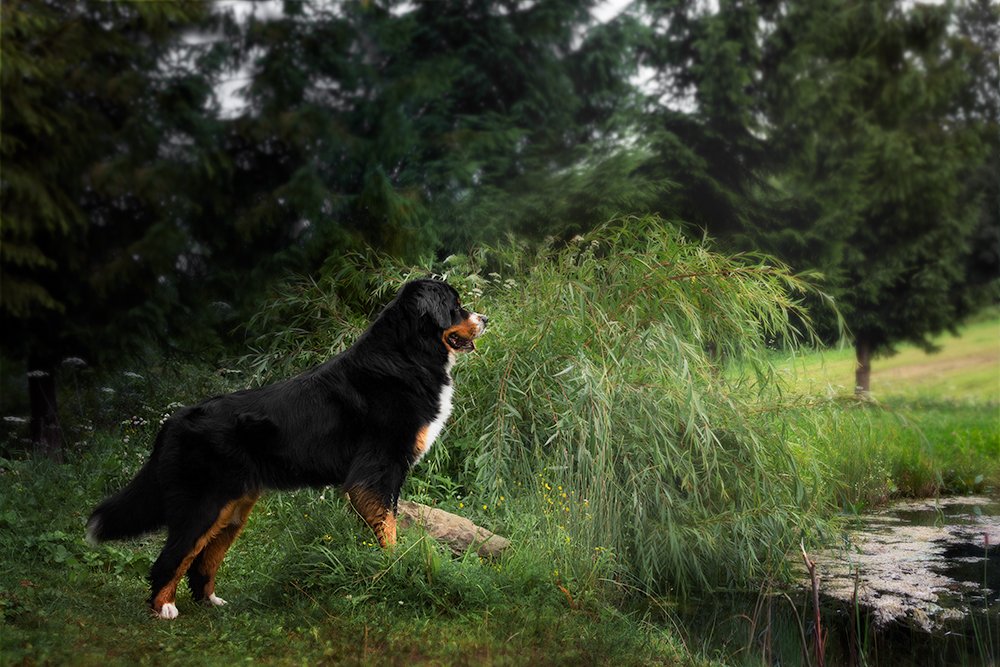 Photograph by Katerina Kutova