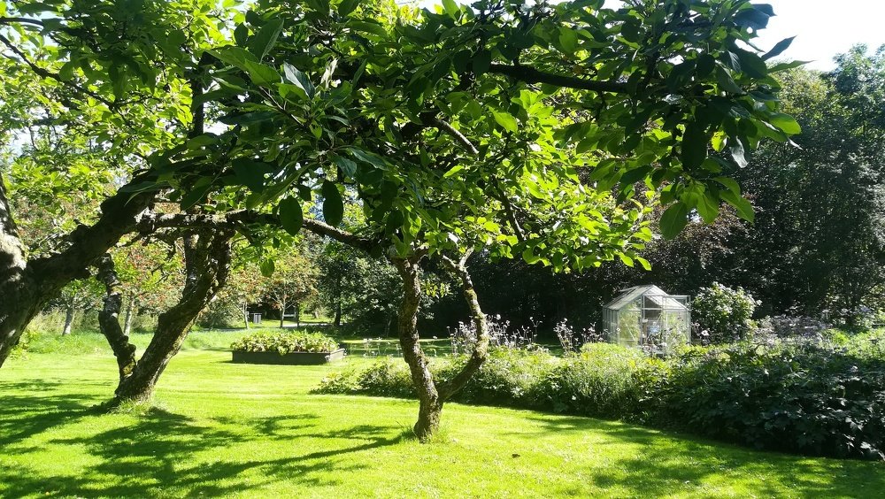 Photograph by Gemelina Opriș