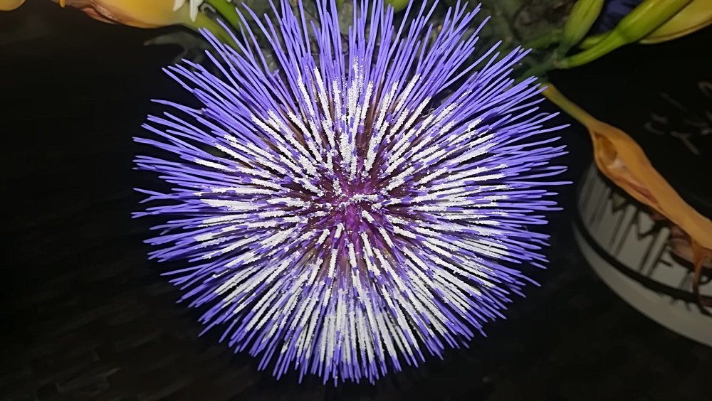 Artichoke flower
