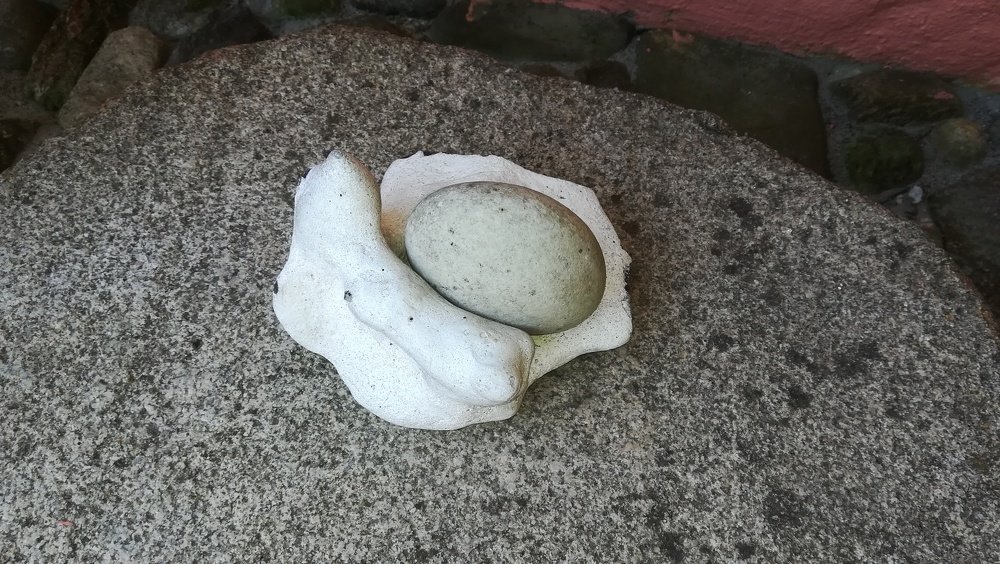 Photograph by Gemelina Opriș