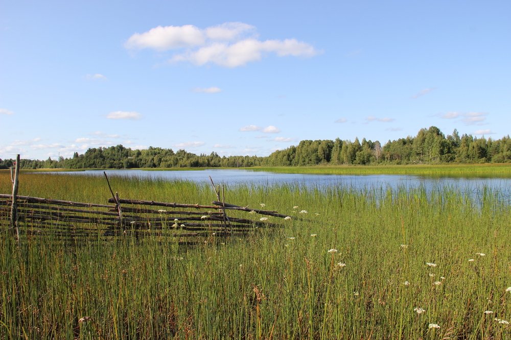 Река Нарвожа.