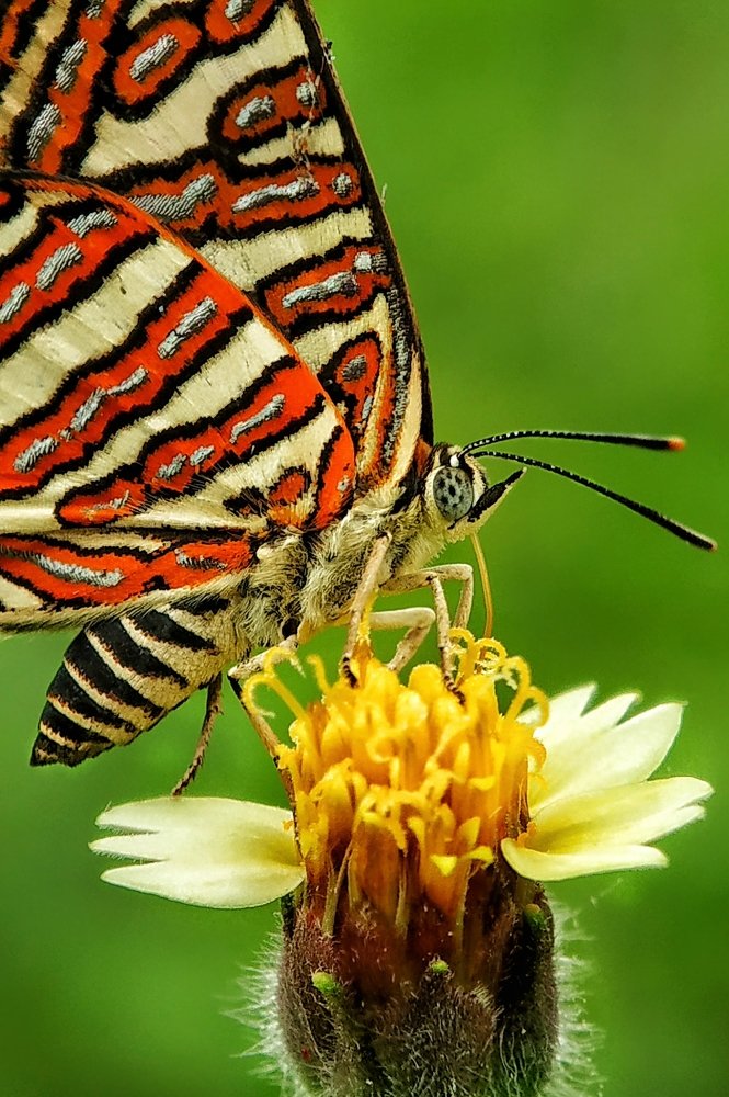 Photograph by Subrata Parui