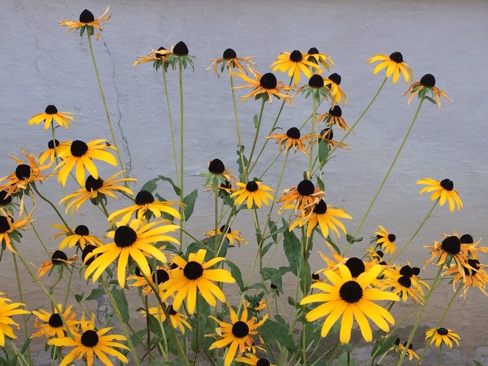 Photograph by Ольга Шестакова