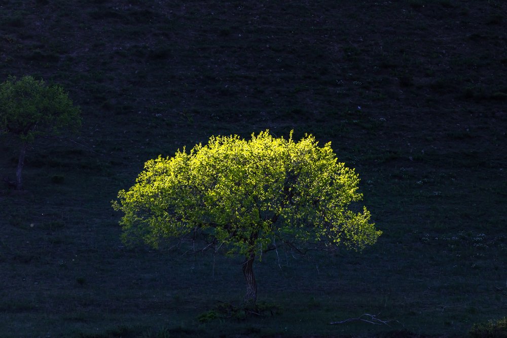 Фотография автора Zakharov Armen