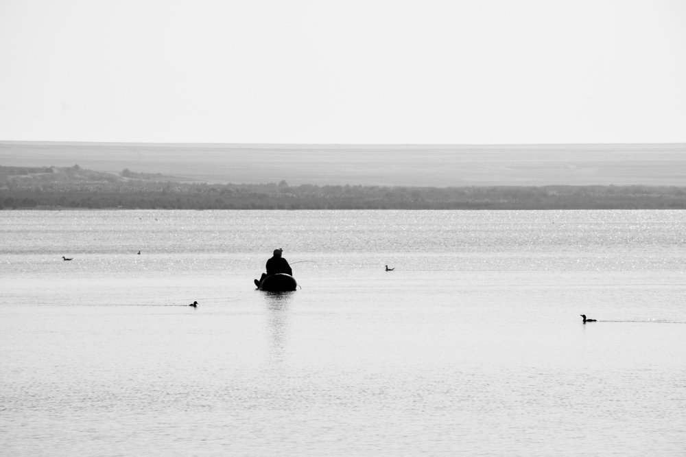 Photograph by Mohammad Harby