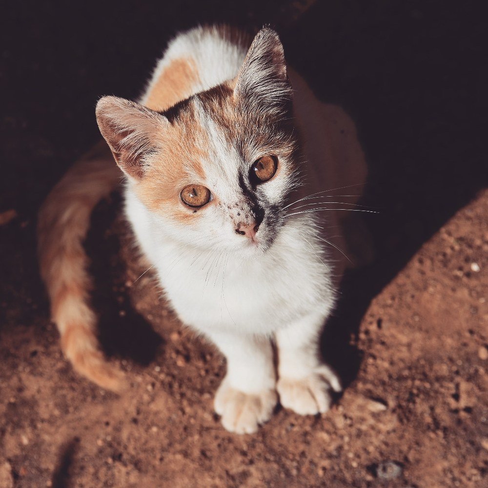 Посмотри на меня.