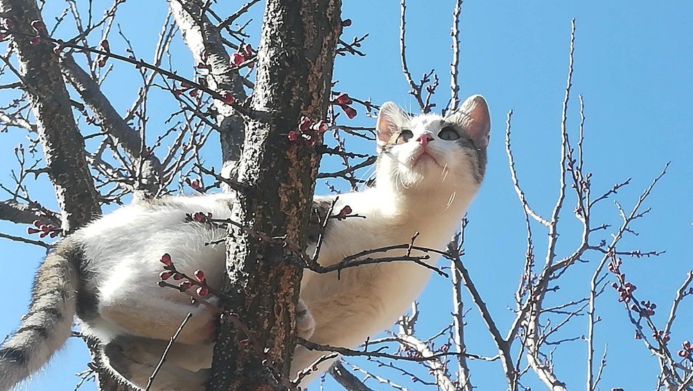 Photograph by Gemelina Opriș