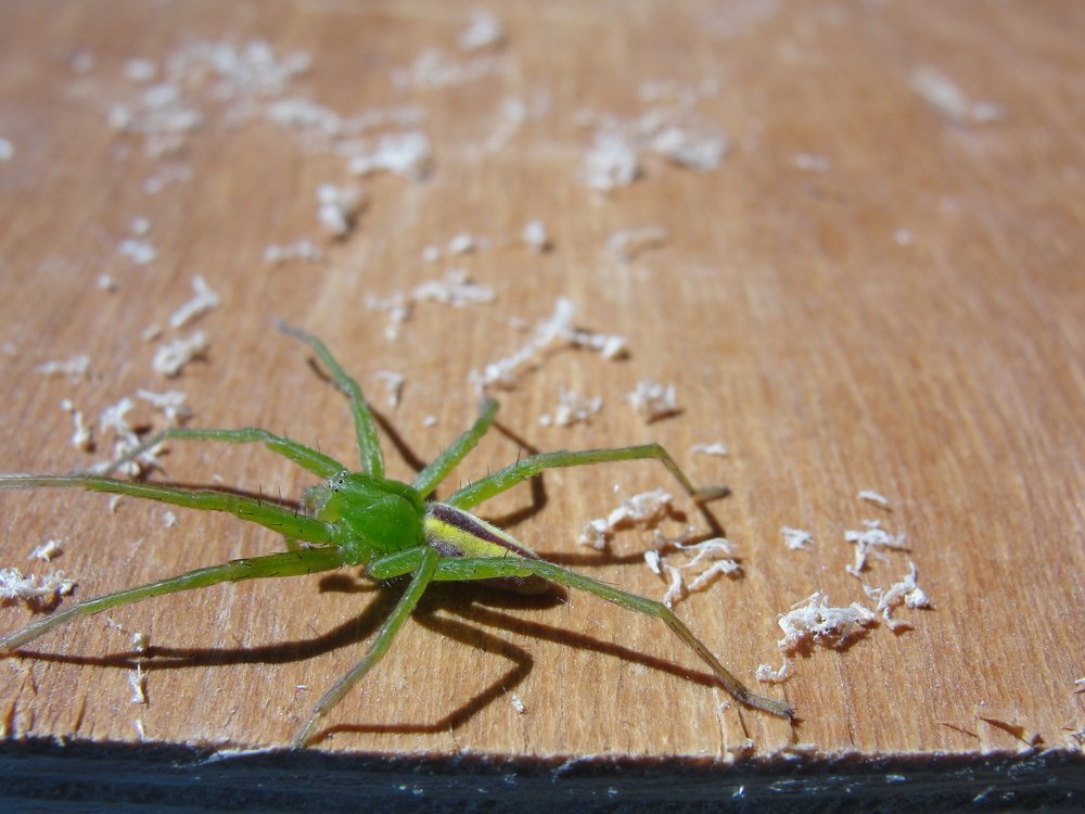 Фотография автора Иван Кириллов