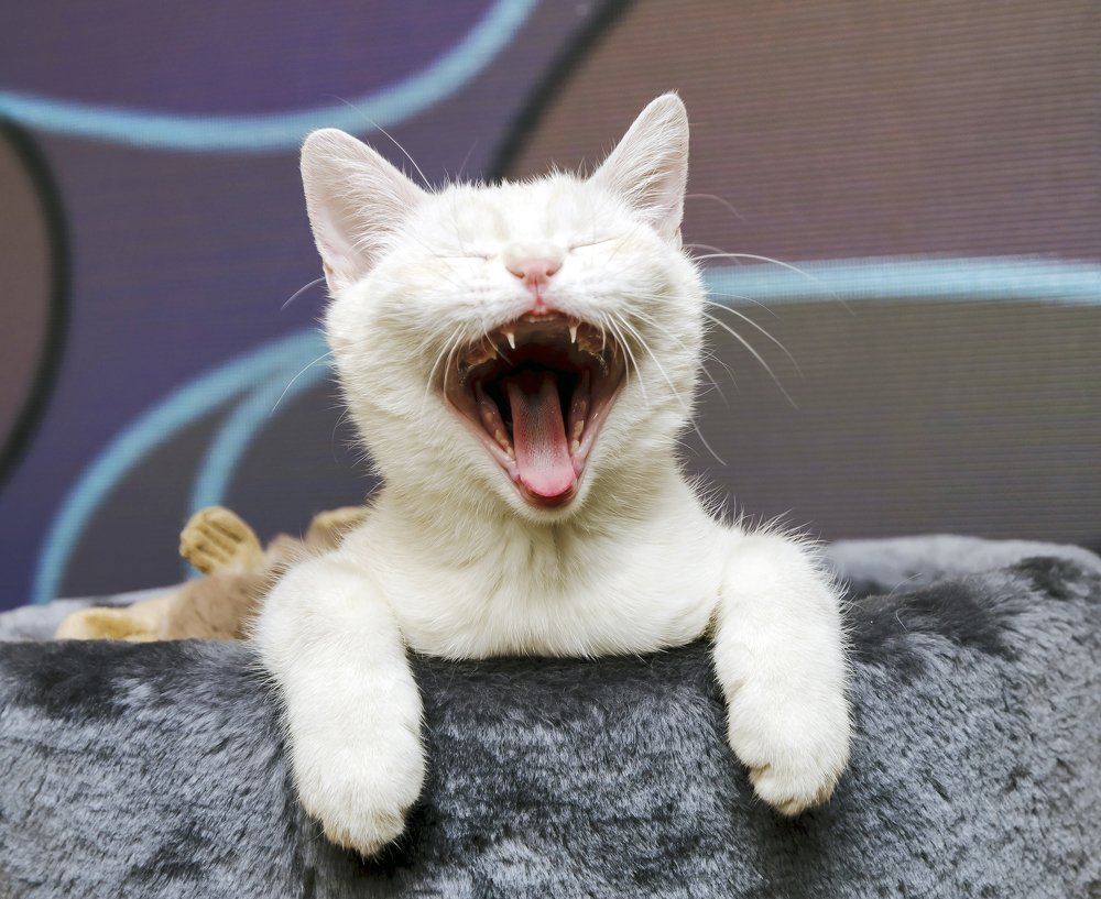 Photograph by Дмитрий Петренко