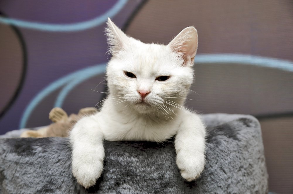 Photograph by Дмитрий Петренко