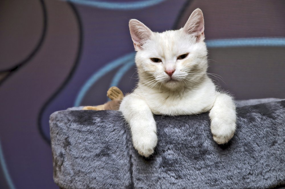 Photograph by Дмитрий Петренко