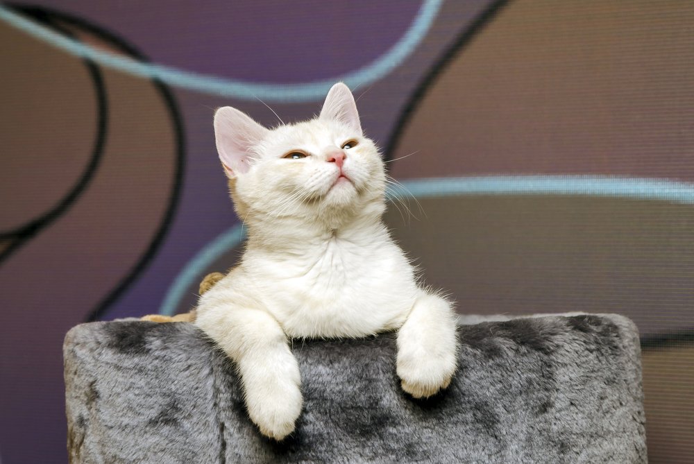 Photograph by Дмитрий Петренко