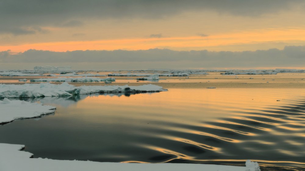 Photograph by Валерий Гончаров