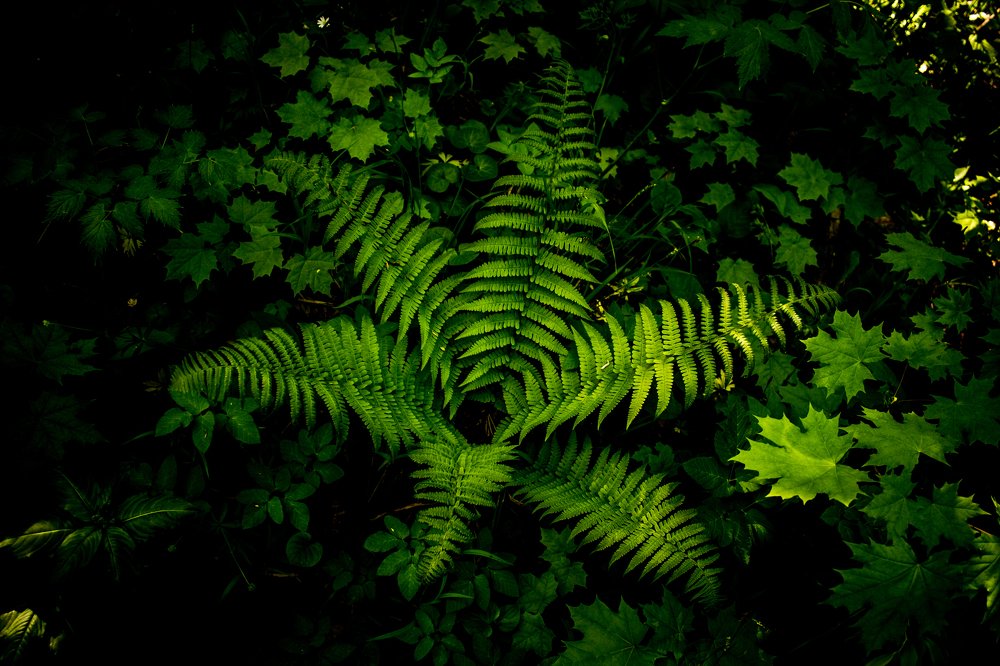 Photograph by Дмитрий Лепаков