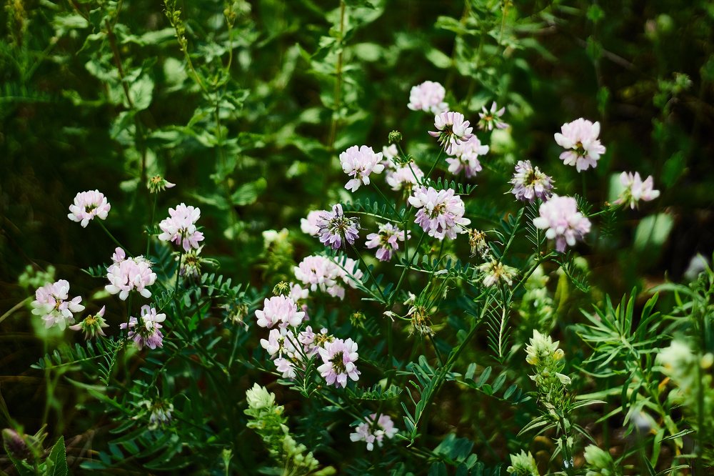 Photograph by Дмитрий Лепаков