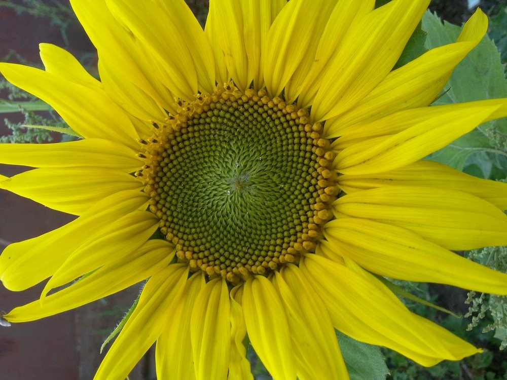 Photograph by Светлана Хоботова