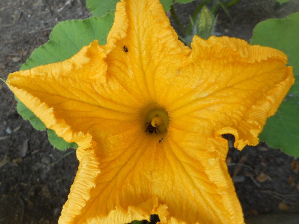 Photograph by Светлана Хоботова