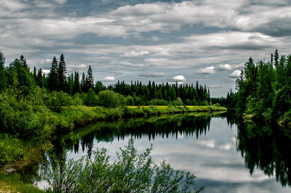 Photograph by Дмитрий Лепаков