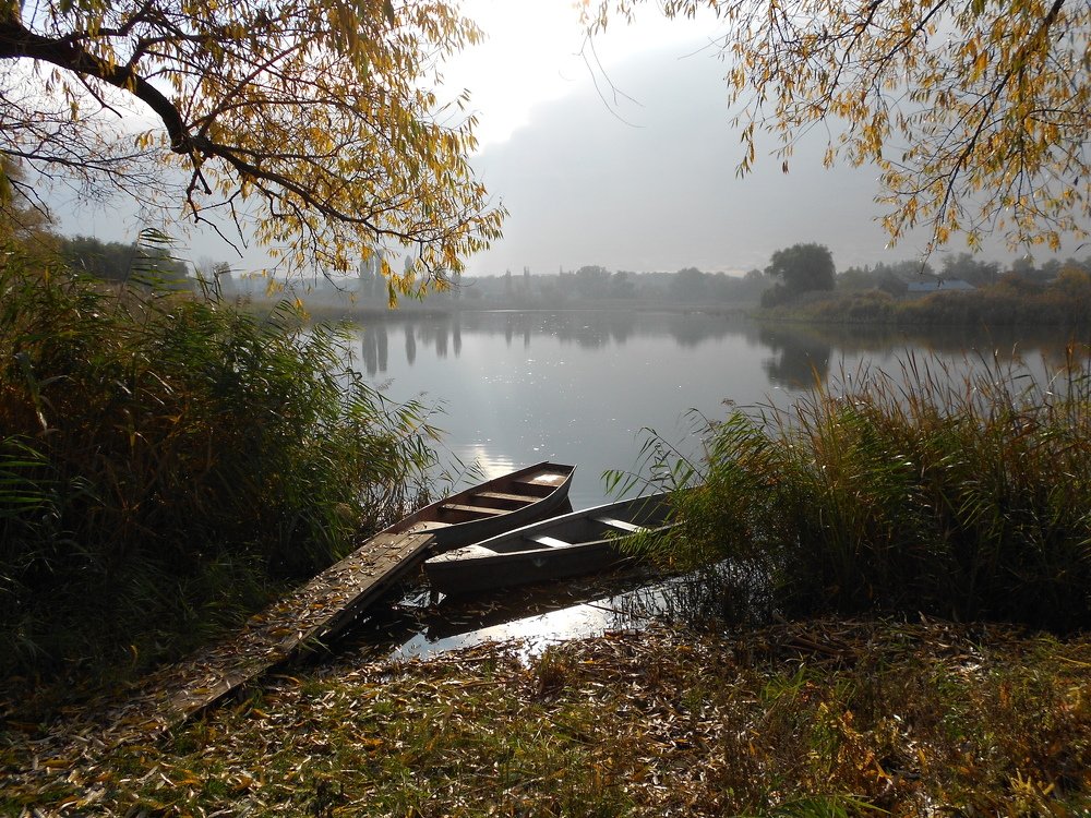 Photograph by Денис Лащ