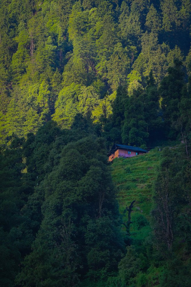 Фотография автора Advita Pande