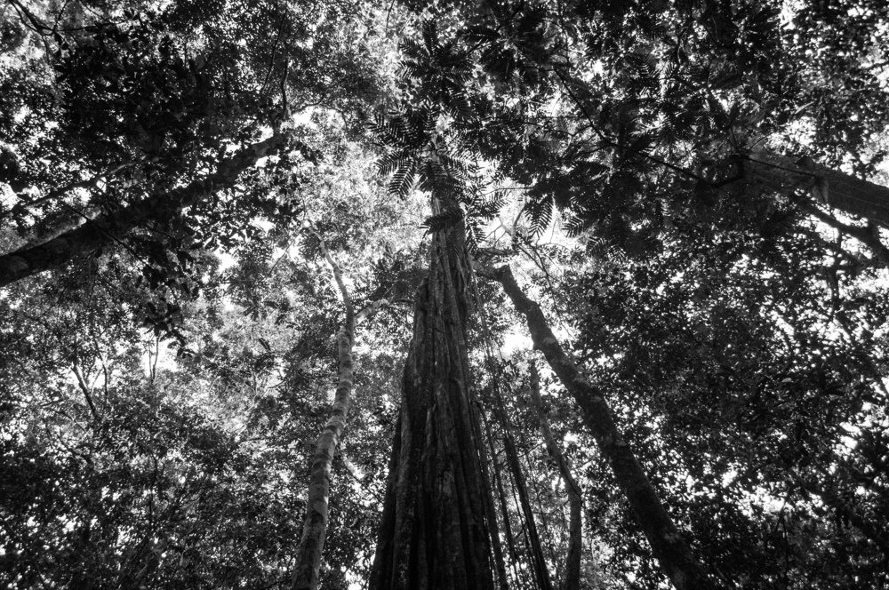Photograph by Seon Renville