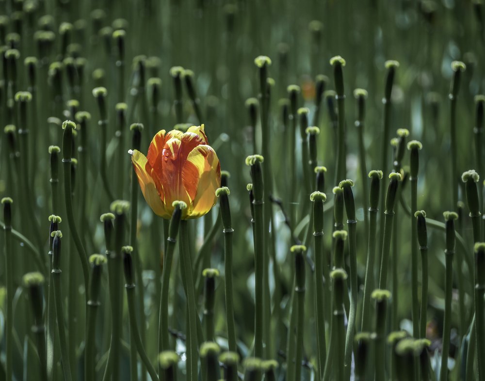 Фотография автора Straand2614