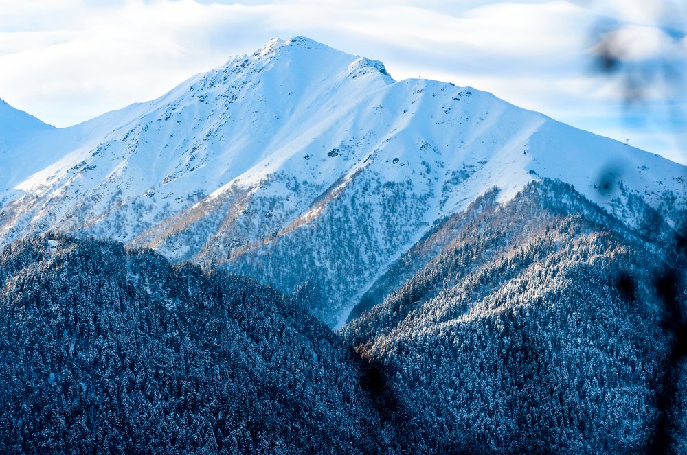 Photograph by Александр Орнатский