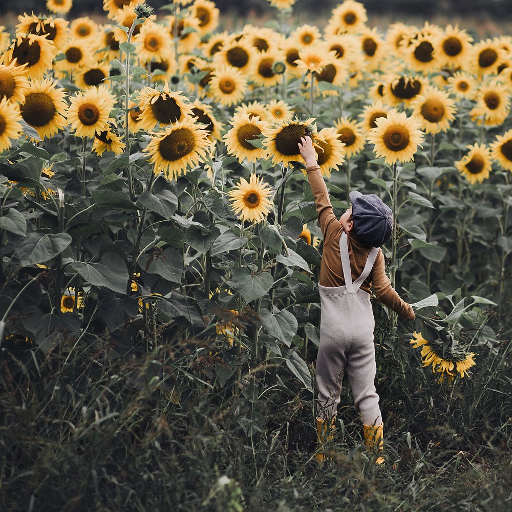 Фотография автора Анна Беляева