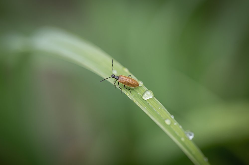 Photograph by Анастасия Петрова
