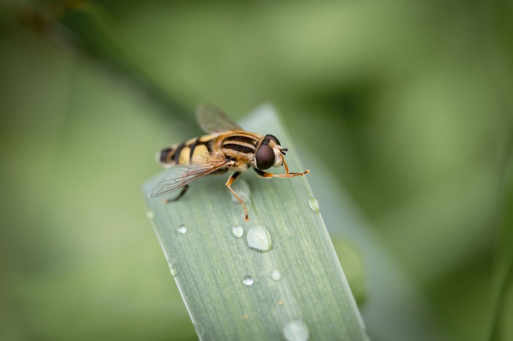 Photograph by Анастасия Петрова