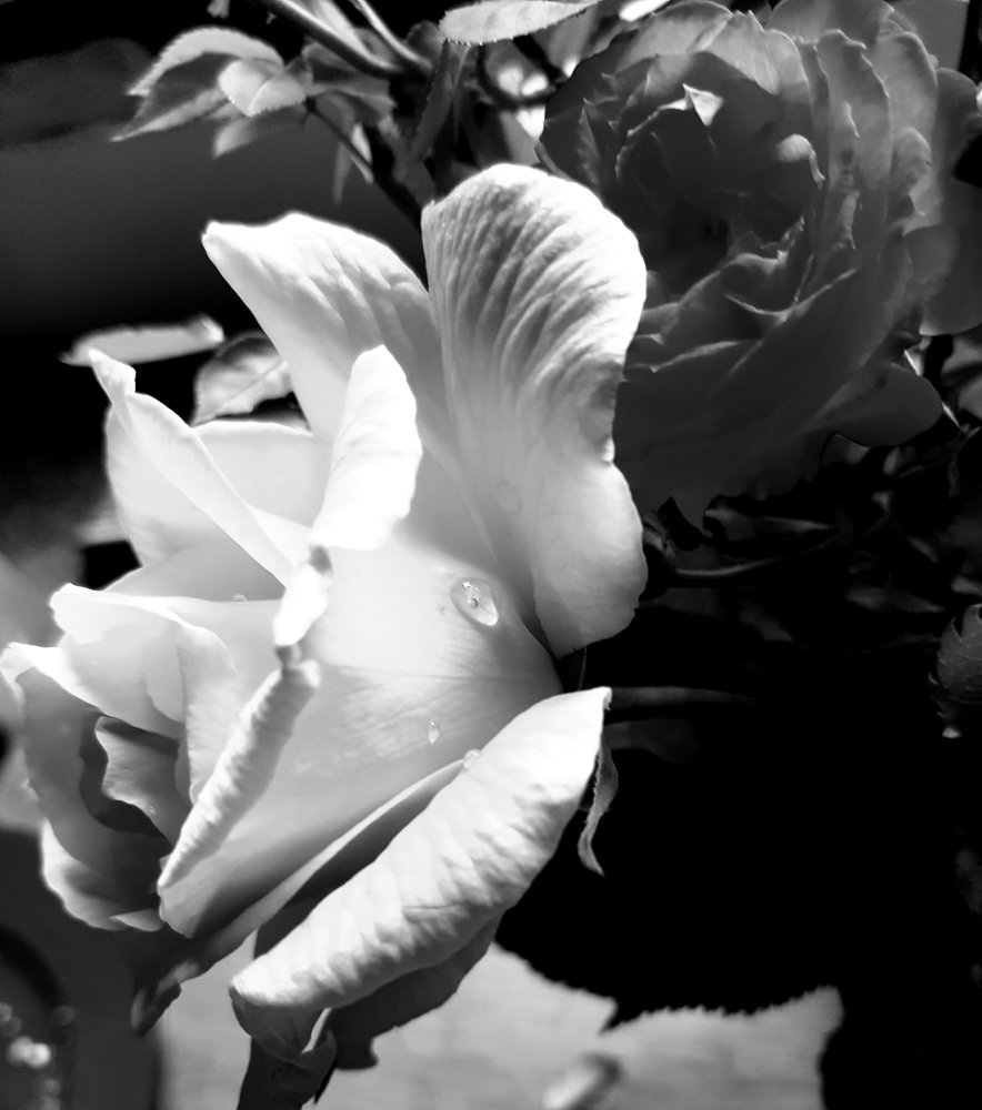 Photograph by Mila Zahoff